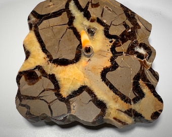 Septarian Stone Rock Candle | Rustic addition to your home, table centerpiece