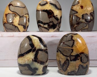 May include: Five polished, smooth, brown, yellow, and black,  stone spheres with a unique, marbled pattern.
