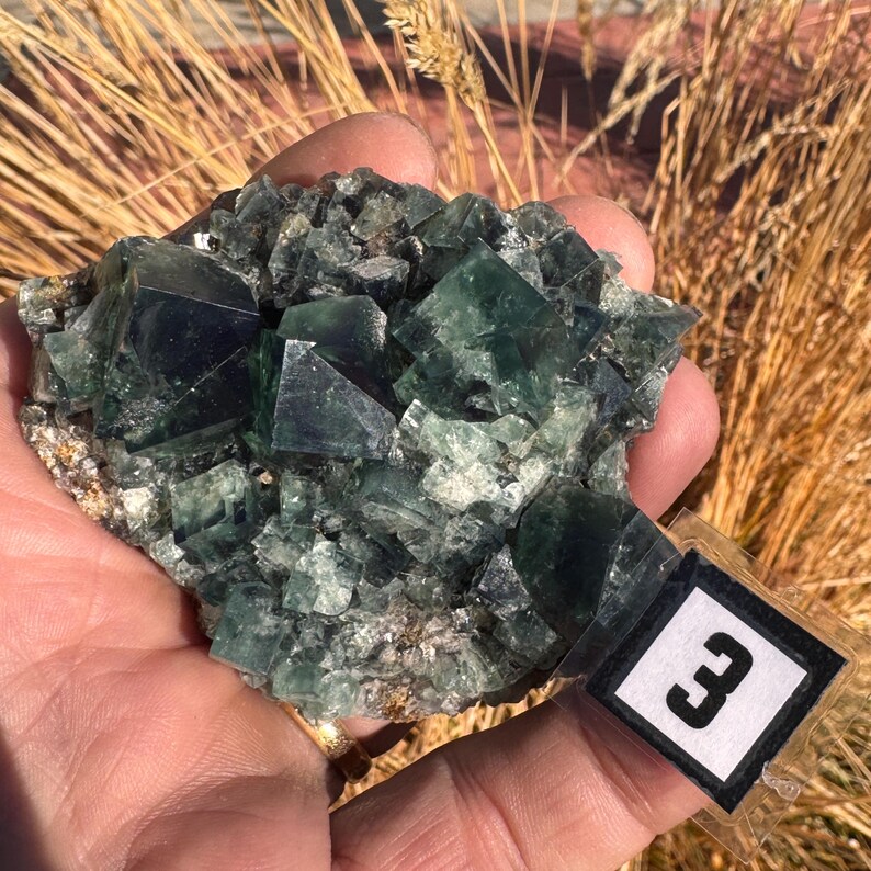 May include: A cluster of green fluorite crystals with a cubic structure. The crystals have a translucent quality and varying shades of green. A small tag with the number 3 is attached to the specimen. The background features dry, golden-brown grasses.