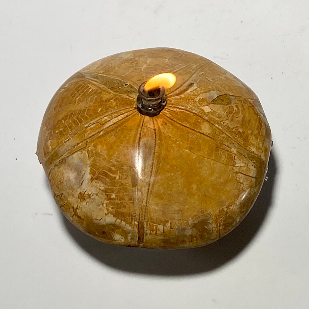 Rock Candle - Fossilized Sea Urchin | Rock Oil Candle Lamp, Fossil Oil ...