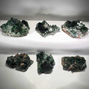May include: Six clusters of green and black fluorite crystals on a white surface. The crystals vary in size and shape, with some displaying sharp, geometric forms and others appearing more rounded. The color ranges from deep emerald to nearly black.
