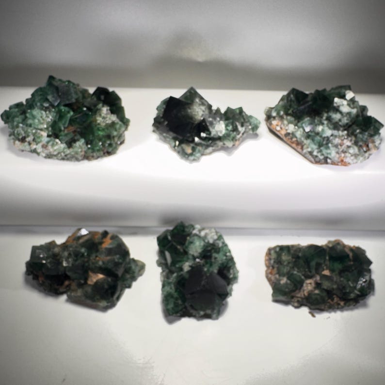 May include: Six clusters of green and black fluorite crystals on a white surface. The crystals vary in size and shape, with some displaying sharp, geometric forms and others appearing more rounded. The color ranges from deep emerald to nearly black.