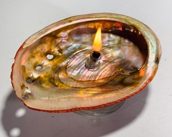 Abalone Shell Oil Lamp: Pink Iridescent Rock Candle, Beach Decor