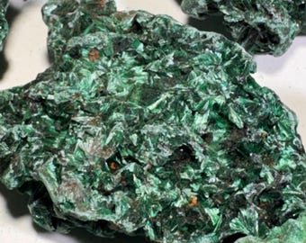 Specimens