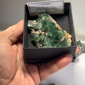 May include: A vibrant green fluorite mineral specimen in a black box. The fluorite crystals are a deep emerald color, with a crystalline structure. The label reads "FLUORITE" and details the mine location in England. The specimen is held in a hand.