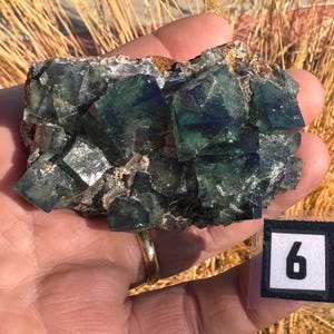 Green fluorite crystal cluster, sunlight reactive | Hidden Forest Pocket, Diana Maria Mine, Durham England image 14