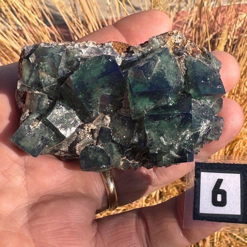 Green fluorite crystal cluster, sunlight reactive | Hidden Forest Pocket, Diana Maria Mine, Durham England image 14