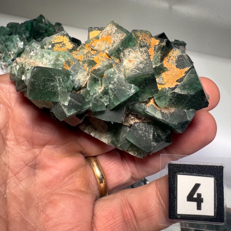 May include: A cluster of green fluorite crystals with a cubic structure, displaying a range of dark to light green hues. The crystals have a rough, textured surface with patches of orange-brown mineral deposits. A small label with the number 4 is visible.