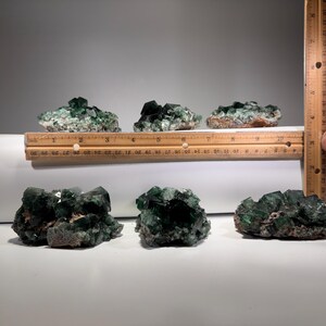 May include: Six green fluorite mineral specimens. The crystals are a deep green color and are clustered together on a matrix. A wooden ruler is placed next to the minerals to show their size. The ruler is marked in inches.