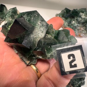 Green fluorite crystal cluster, sunlight reactive | Hidden Forest Pocket, Diana Maria Mine, Durham England image 5