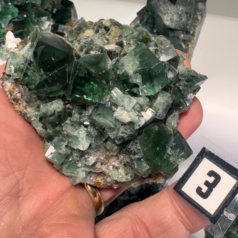 May include: A cluster of dark green fluorite crystals with a cubic structure. The crystals are partially translucent, revealing their internal structure. The fluorite is set on a matrix of lighter-colored minerals. A small label with the number "3" is visible.