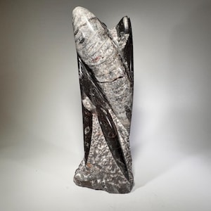 Orthoceras fossil tower | fossil cephalopod, fossil statue, fossil carving, freestanding fossil, collector must have, Morocco specimen