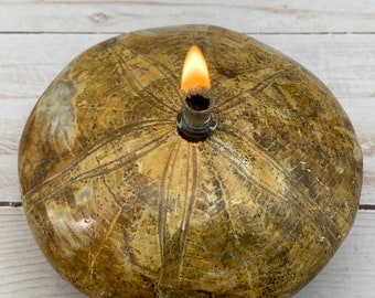 Rock Candle - fossilized sand dollar | rock oil lamp, rock decor, rock oil candle, fossil urchin, fossil sand dollar