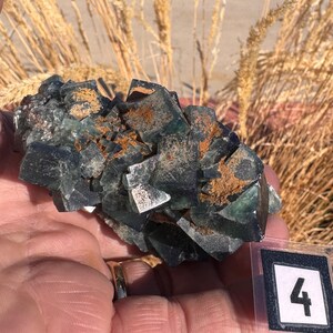 Green fluorite crystal cluster, sunlight reactive | Hidden Forest Pocket, Diana Maria Mine, Durham England image 10