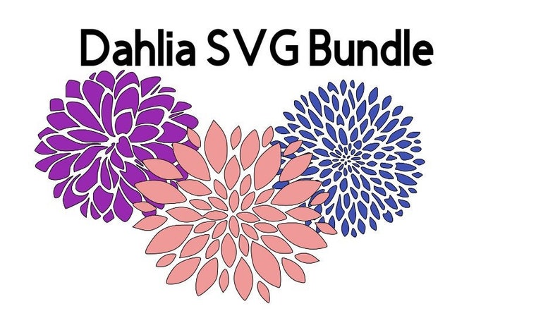 Dahlia Flower SVG Dahlia Bundle SVG Spring Svg Flower | Etsy