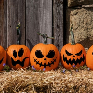 Set of 8 Pumpkin Face Decals. Halloween Pumpkin Stickers. - Etsy