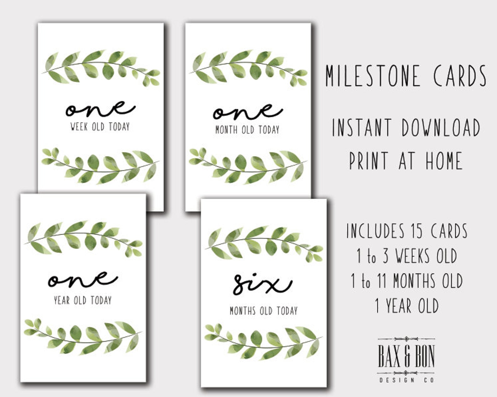 Baby Milestone Cards Instant Print | Download Instant Print Milestone ...