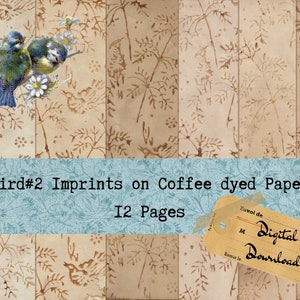 Coffee dyed Papers with Bird #2 Print - Digital Download