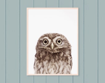 Owl Print - Nursery Wall Art - Printable Wall Art - Digital Download Print - Kids Room Wall Art
