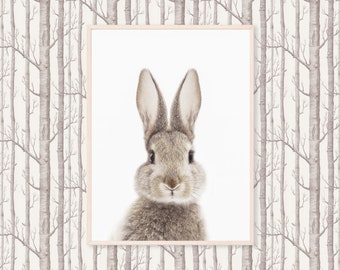 Bunny Print - Nursery Wall Art - Printable Wall Art - Nursery Shelf Decor - Digital Download Print - Kids Room Wall Art