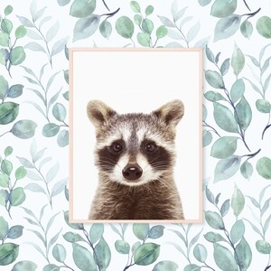 Raccoon Print - Nursery Wall Art - Printable Wall Art - Digital Download Print - Kids Room Wall Art