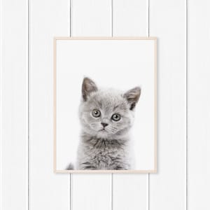 Kitten Print - Nursery Wall Art - Printable Wall Art - Digital Download Print - Kids Room Wall Art