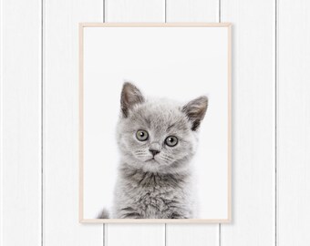 Kitten Print - Nursery Wall Art - Printable Wall Art - Digital Download Print - Kids Room Wall Art