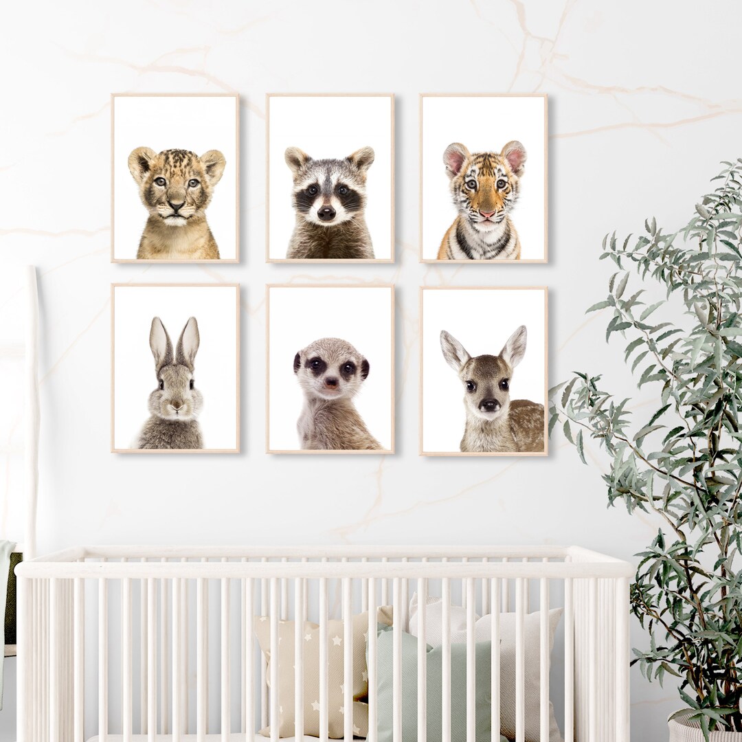 Set of 6 Baby Animal Prints - Nursery Wall Art - Printable Wall Art ...