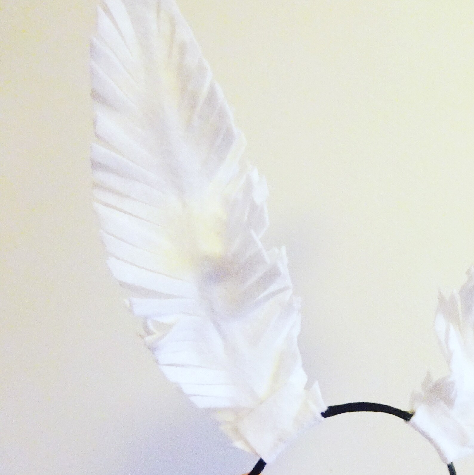 White Moth Antennae Headband White Moth Crown Moth Headband Etsy