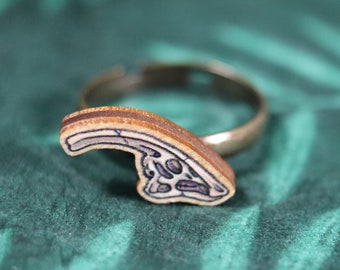 Ring with wooden Parasaurolophus skull charm