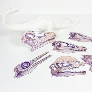 Dinosaurierschädel Sticker (Velociraptor, Dilophosaurus, Pachycephalosaurus, Spinosaurus, Diplodocus, Ichthyosaurus, Mosasaurus)