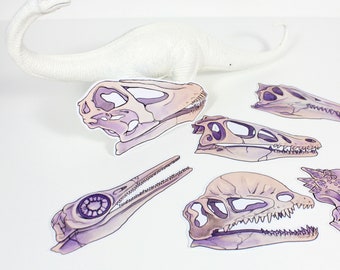 Adesivi con teschi di dinosauro (Velociraptor, Dilophosaurus, Pachycephalosaurus, Spinosaurus, Diplodocus, Ichthyosaurus, Mosasaurus)