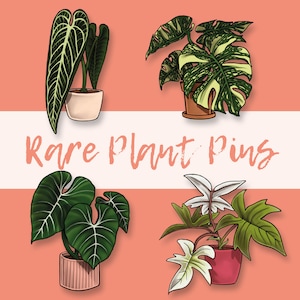 Könnte beinhalten: Vier verschiedene Arten von seltenen Zimmerpflanzen in Töpfen, mit dem Text "Rare Plant Pins" in der Mitte des Bildes.