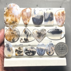 Peut inclure: Une collection de pierres précieuses en agate dendritique polie de différentes formes, dont ovales, en goutte et en cœur. Les pierres présentent des motifs complexes bruns, noirs et blancs, ressemblant à des paysages ou à des formations arborescentes. Une pièce de monnaie est incluse pour la référence de taille.