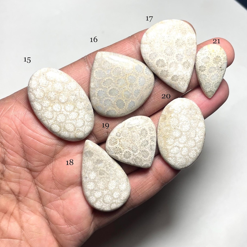 May include: A collection of eight white fossilized coral cabochons, numbered 15 through 21, with a white, circular, patterned design.