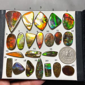AAA+ Quality Ammolite Cabochons for Every Occasion