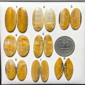 May include: Eight pairs of oval-shaped tiger's eye cabochons, numbered 1 through 8, displayed on a white surface. The cabochons are various shades of brown, yellow, and white. A US quarter is included for scale.