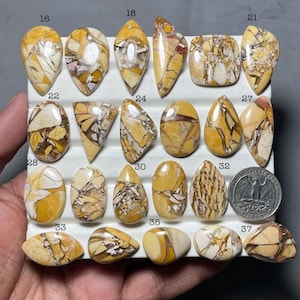 May include: A collection of polished gemstones in various shapes, including oval, teardrop, and irregular forms. The stones feature a mix of yellow, cream, and brown colors with intricate veining patterns. A US quarter is included for size reference.