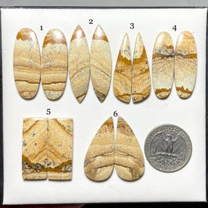 TOP QUALITY Picture Jasper Match Pair, Picture Jasper Natural Gemstone, Picture Jasper Pair For Making Jewelry
