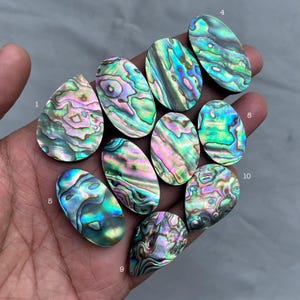 Naturlig Abalone Shell Cabochon: Skimrande ädelsten för smycken