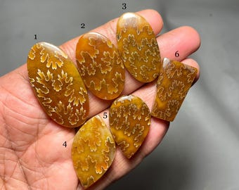Unique & Rare Wave Design Ammonite Gemstone, AAA+ Quality Ammonite Natural Stone For Making Jewelry, Healing Crystal, Loose Cabochon