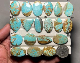 May include: A collection of turquoise gemstones in various shapes, including oval, teardrop, and round. The stones display a vibrant blue-green color with brown matrix patterns. Numbers are visible next to each stone, and a quarter is included for size reference.