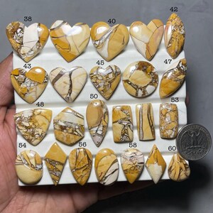 Puede incluir: Colección de gemas pulidas en diversas formas, incluyendo corazones, óvalos y rectángulos. Las piedras presentan una mezcla de colores beige, crema y marrón con patrones de vetas únicos. Se incluye una moneda para referencia de tamaño.