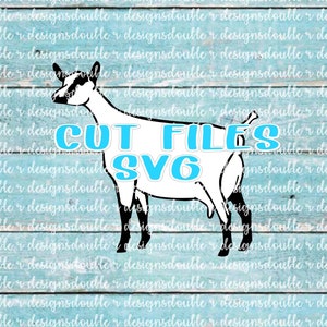 Nigerian Dwarf Doe #1 Dairy Show Goat Files for Personal Use, Cricut, Silhouette, SVG