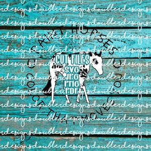 Peignez les chevaux avec une couleur qui vous fait bouger, équitation, équin, cheval, fichiers Clip Art, Cricut, Silhouette, SVG, PDF, JPG, faire des décalcomanies, des chemises et plus encore !