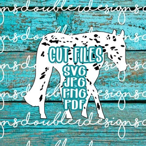 Leopard Appaloosa Pferd Clip Art, für kleine geschäftliche und persönliche Nutzung, Cricut, Silhouette, SVG, PDF, JPG, Showpferd, Vergnügen Pferd