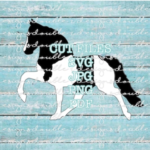 Fichiers SVG clip art cheval de selle tacheté, cheval de selle tacheté, marche à cheval, Tennessee Walker