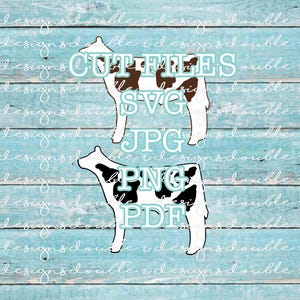 Paire de boeufs laitiers SVG, fichiers .jpg, .pdf, clipart de boeuf laitiers, Cricut, Silhouette, Holstein, boeuf d'engraissement, boeuf laitier, veau d'engraissement SVG