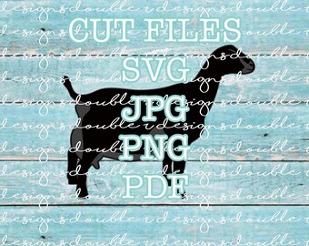 Lamancha Doe - Melkgeit showgeit bestanden voor persoonlijk gebruik, Cricut, Silhouette, SVG