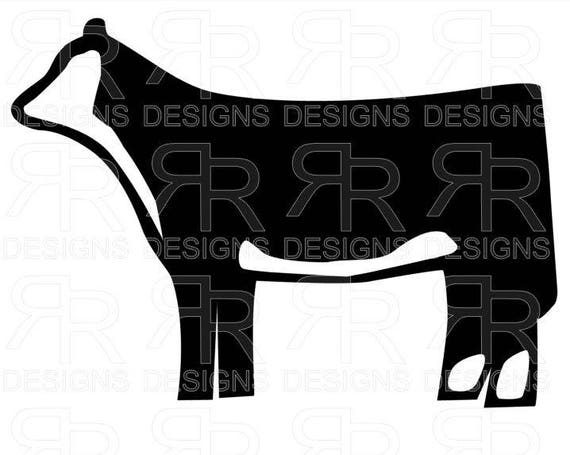 Download Hereford Heifer 2 Show Cattle Cattle Ranch Show Hereford Etsy